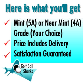 Golf-ball-Sharks-List-of-what-is-included